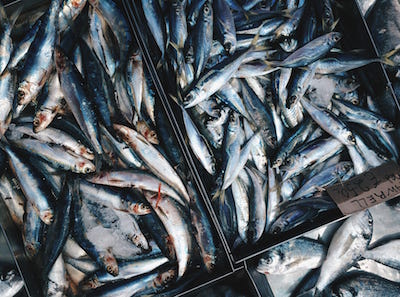 Bins of fish for sale at a market, illustrating the system of bribes operating within South Africa’s fishery enforcement and corruption via reciprocation.