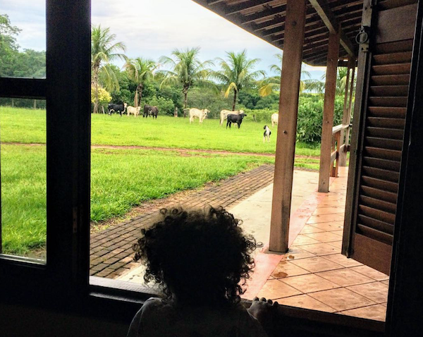 The author’s daughter looking out the window at the ranch described in the anecdote, illustrating how widespread corruption is in Brazil at all social levels, but also how the changing attitudes of Brazilians is creating opportunistic real estate investment opportunities.
