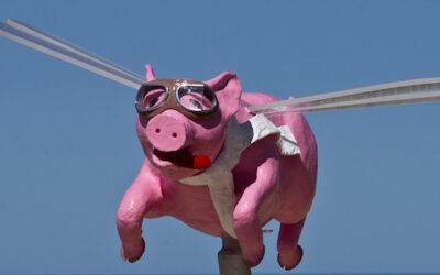 Flying Pigs and Brazil Sale Leaseback Real Estate Investment, Is There a Connection?