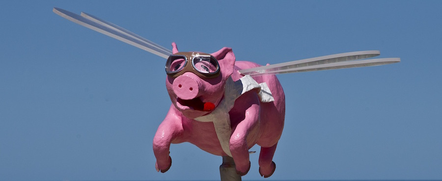 Flying Pigs and Brazil Sale Leaseback Real Estate Investment, Is There a Connection?