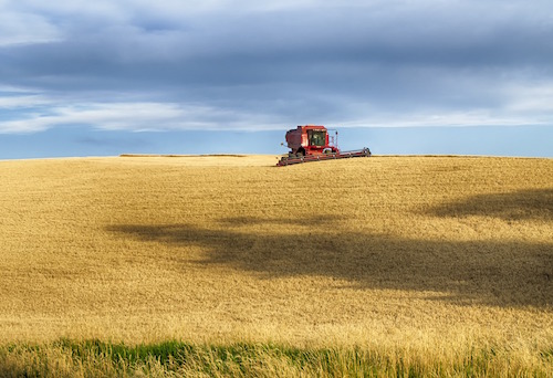 A red combine harvests golden crops with a partly cloudy blue sky in the background