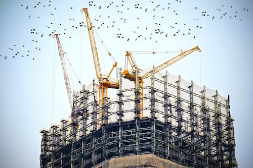 Three cranes construct a skyscraper with a flock of birds flying through them